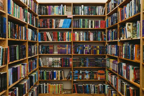 How Many Books Are in a Library: A Journey Through the Infinite and the Imaginary