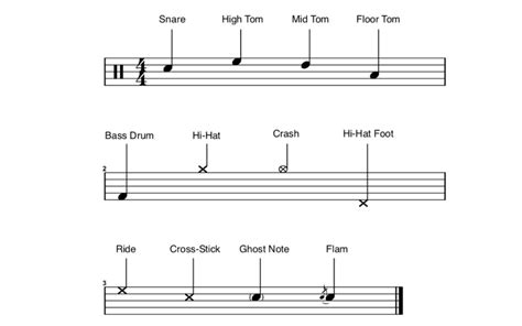 how to read drums sheet music: The drumming journey of your dreams