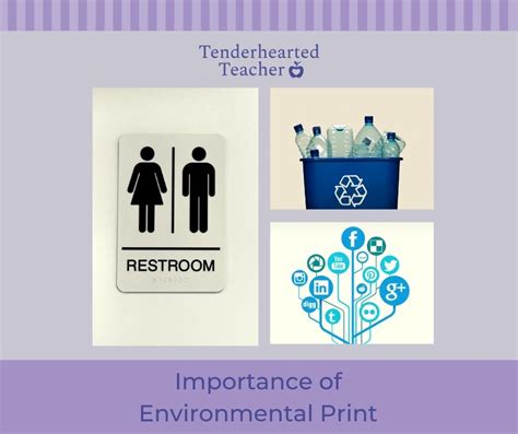 What Is Environmental Print: A Multidimensional Exploration